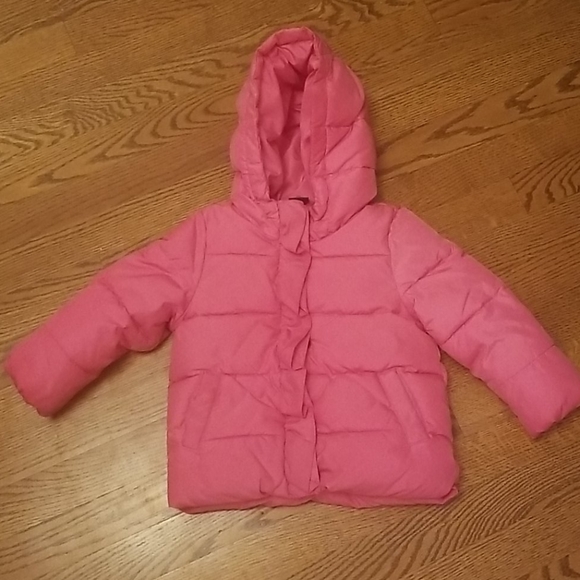 baby gap toddler jacket